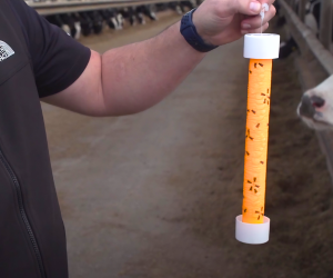 Choosing the right fly trap