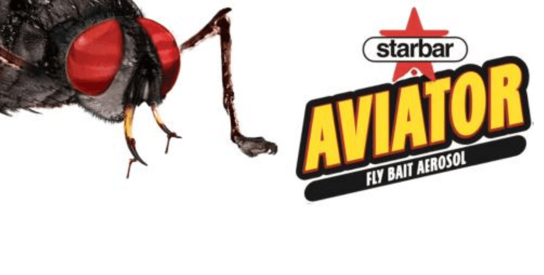 Aviator fly bait