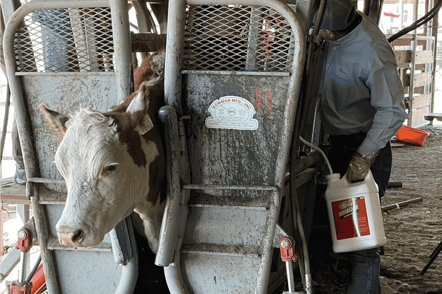 ProductApplicationCartoon-Lice