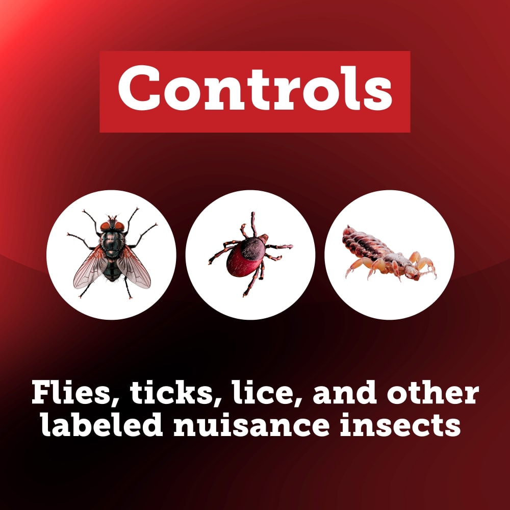 prolate-insects-controlled