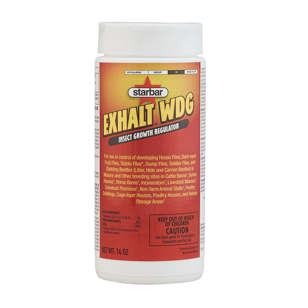 100542698-exhalt-wdg-14oz-1000x1000