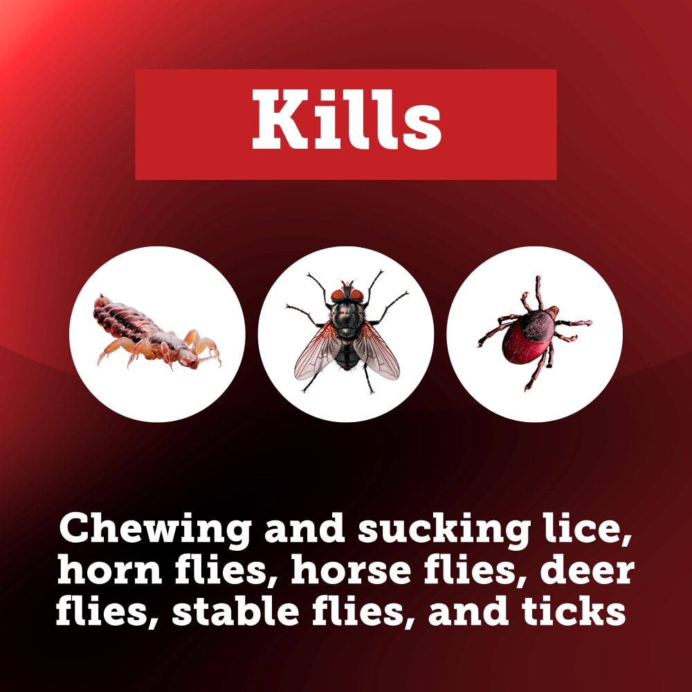 inhibidor-insects-killed-carousel