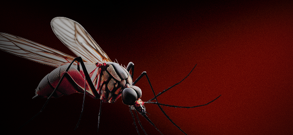 Banner Mosquito - mobile