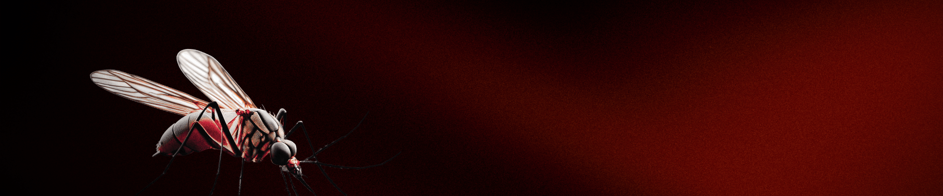 Banner Mosquito