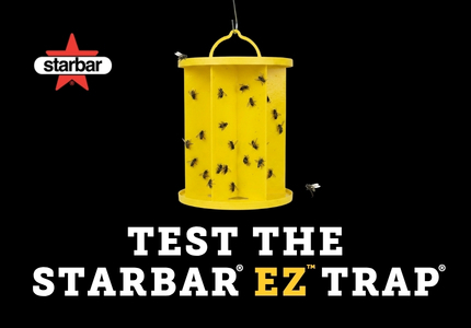 Starbar Home page Mobile (2)