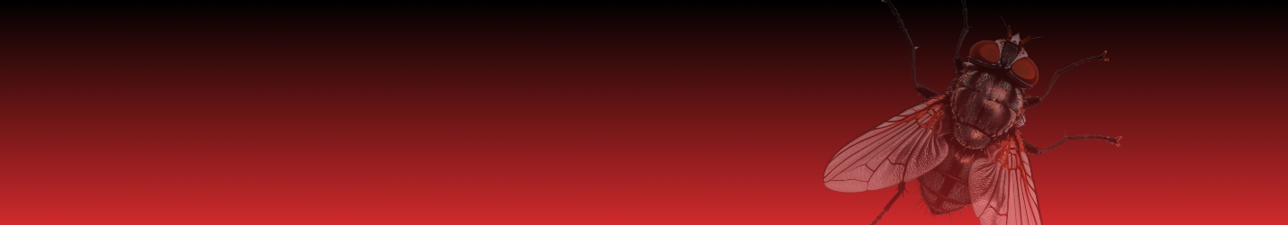 Starbar Bait Rotation - Landing Page Header (28)